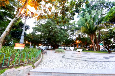 DanielVianna Figueira Florianopolis SC