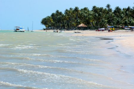 Marco Ankosqui Praia de Mangue Maragogi-AL photo