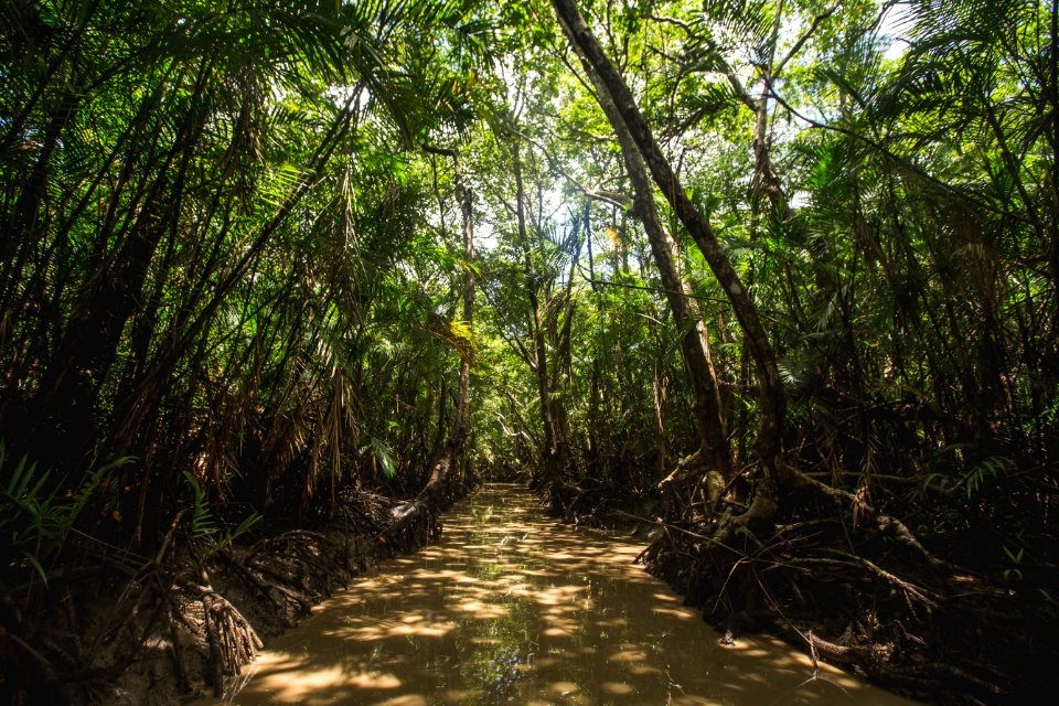 BrunaBrandao FuroDoMiguelao Salvaterra PA