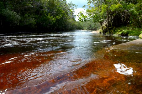 MarioOliveira Cachoeira das Lajes PresidenteFigueiredo AM photo