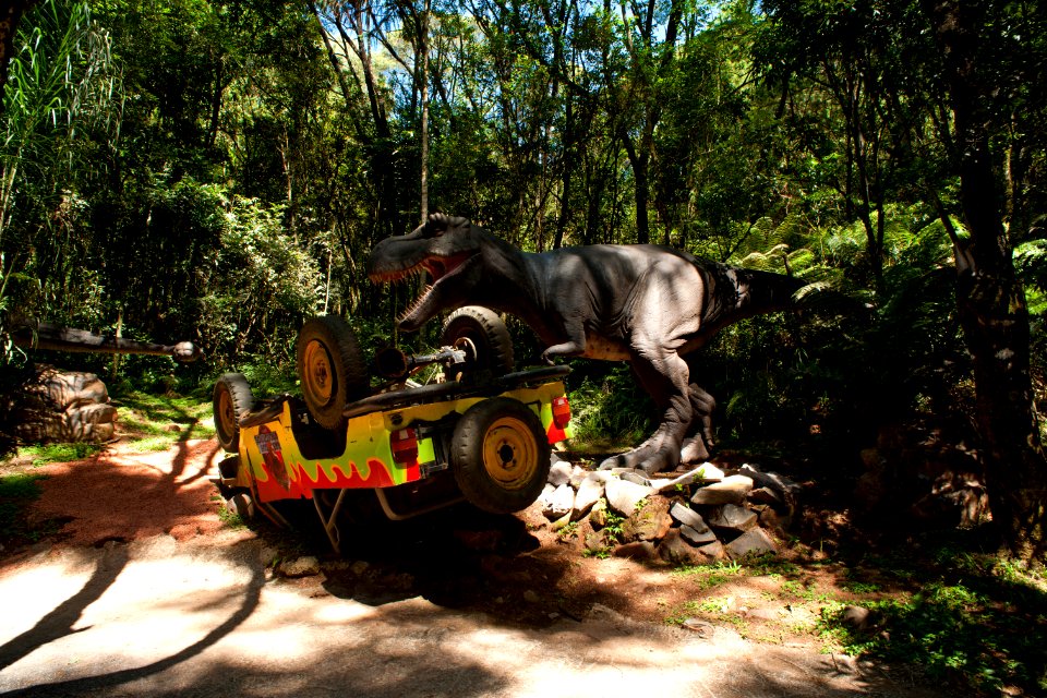 Renato Soares Vale dos Dinossauros Canela RS