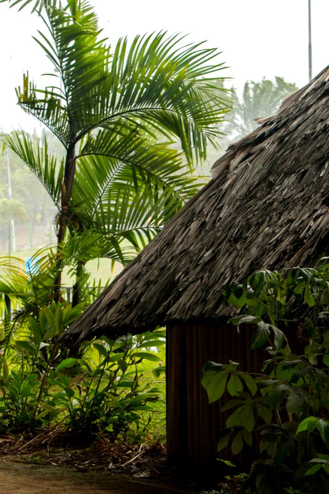 AnaClaudiaJatahy Centro Cultural Povos da Amazônia Manaus AM