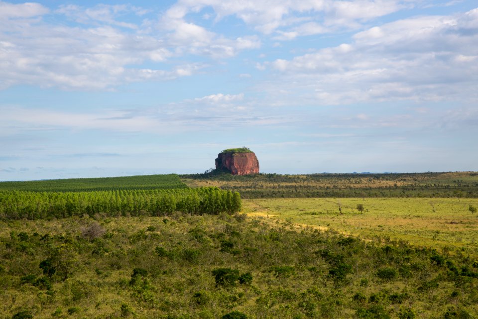 FlavioAndre EntornoPedraFurada PonteAltadoTocantins TO