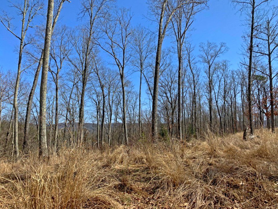 20210322-FS-Monongahela-KMB-1051