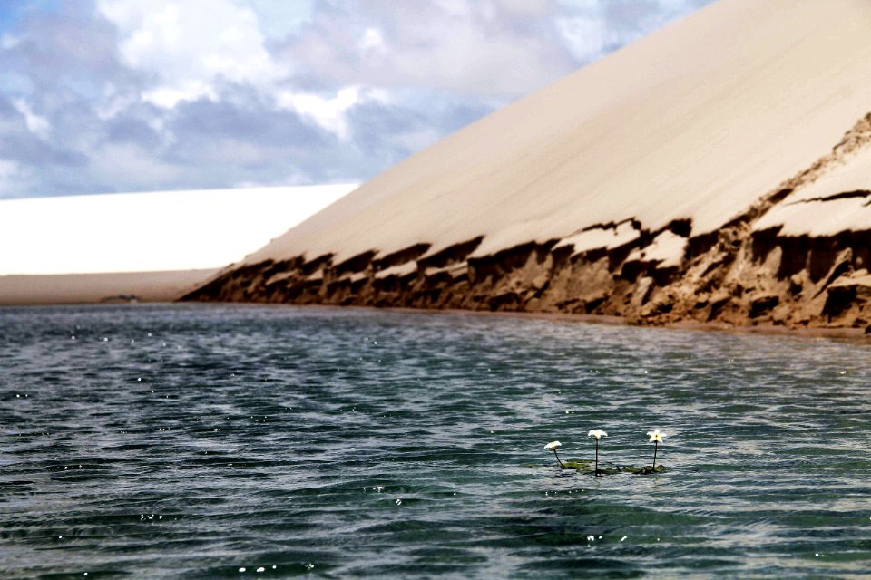 BIAMAN PRADO LAGOA DAS PEDRAS SANTO AMARO DO MARANHÃO MA