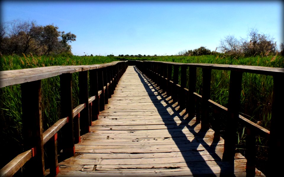 TABLAS DE DAIMIEL, (CIUDAD REAL). SPAIN.