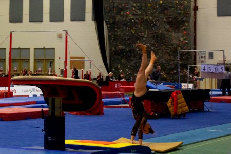 Lori Gillan 2019-02-19- Gymnastics Ladies-9