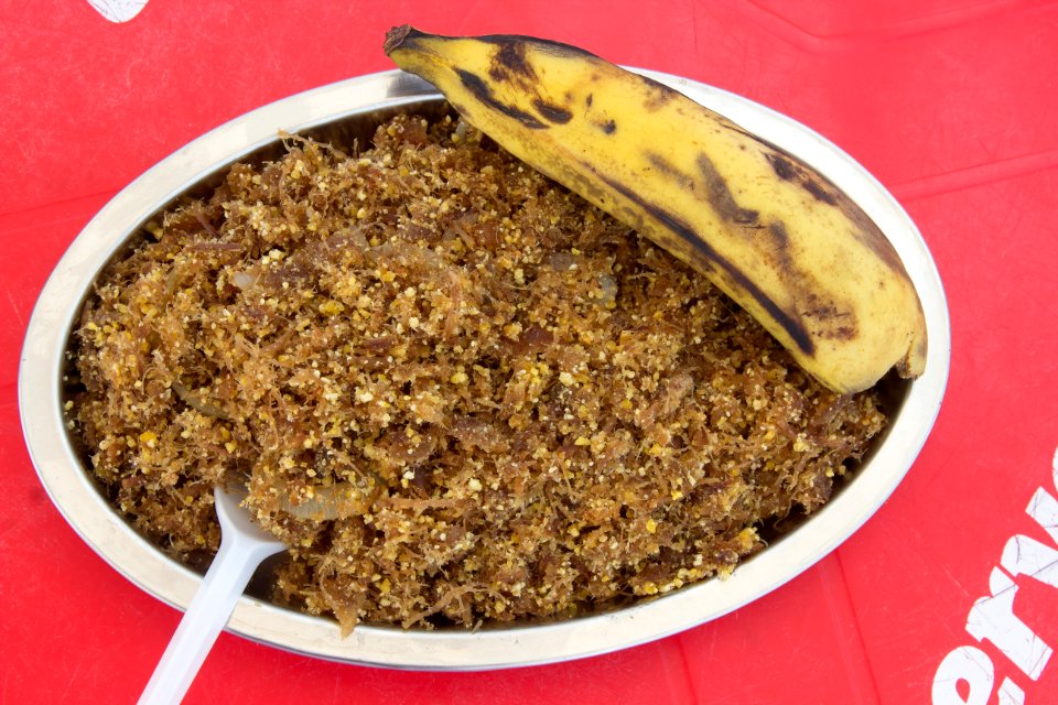 EDERSON BRITO GASTRONOMIA PACOCA BANANA BOA VISTA RR