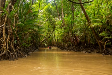 BrunaBrandao FuroDoMiguelao Salvaterra PA