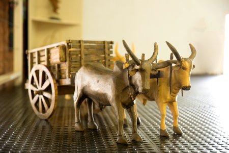 Flávio André Casa do Artesão  Carro de Boi Campo Grande MS