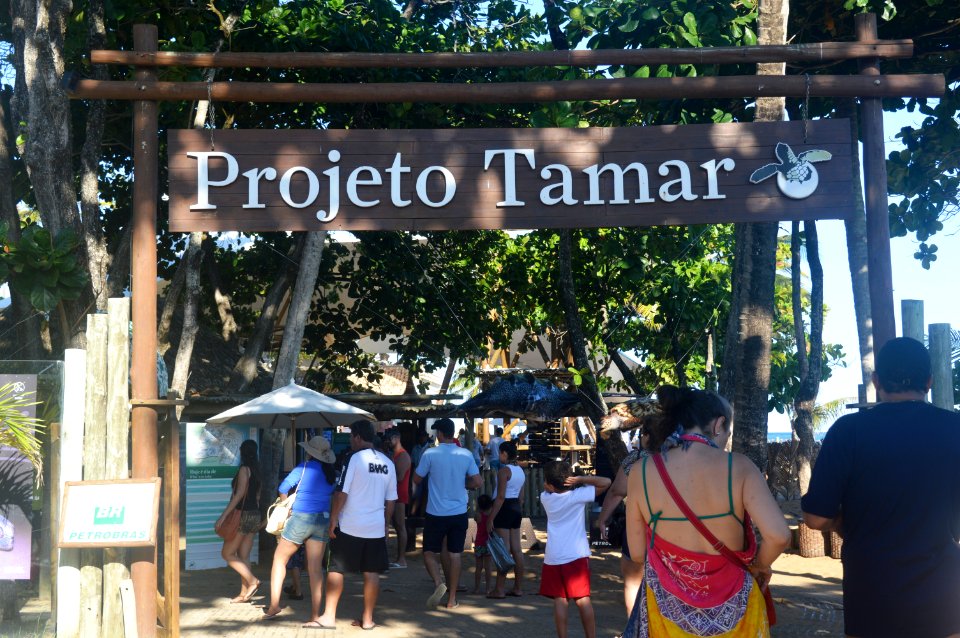 Gleidson Santos Praia do Forte Projeto Tamar Mata de Sao Joao BA