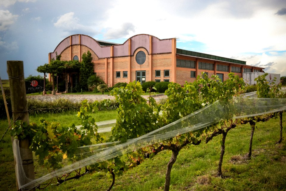 MarcosNagelstein VinicolaPeruzzo Bage RS