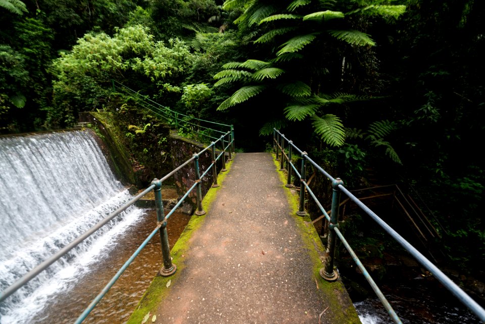 DeniseRicardo Parque Nacional Serra Dos Orgaos Teresopolis RJ