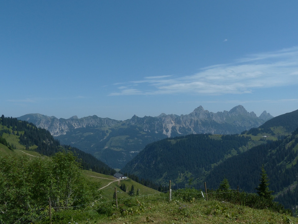 Gimpel alpine allg�?u alps
