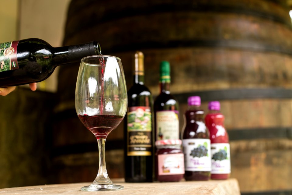 VitorJubini VinicolaTonole VendaNova ES