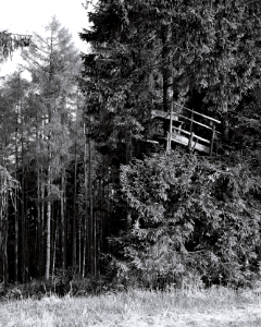 hunting hide