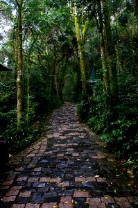 RenatoSoares BosquedoAlemao Curitiba PR