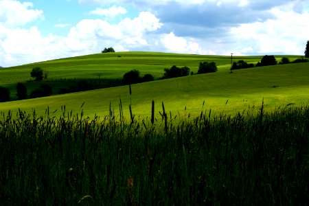 green hill