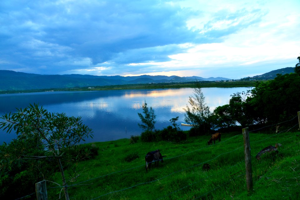 RenatoSoares LagoadaFerrugem Garopaba SC
