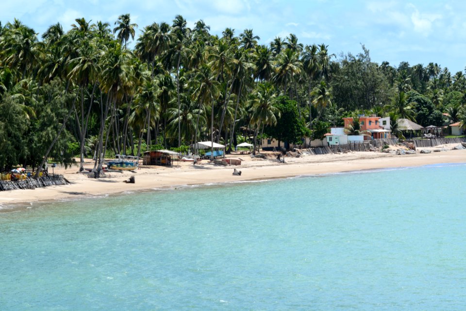 Marco Ankosqui Caminhos para Praia do Toque Sao Miguel Milagres-AL
