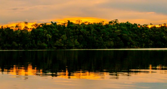 AnaClaudiaJatahy ParqueNacionalDoJau NovoAirao AM
