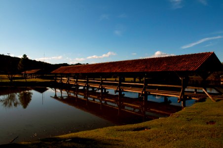 RenatoSoares Parque do Tingui Curitiba PR photo