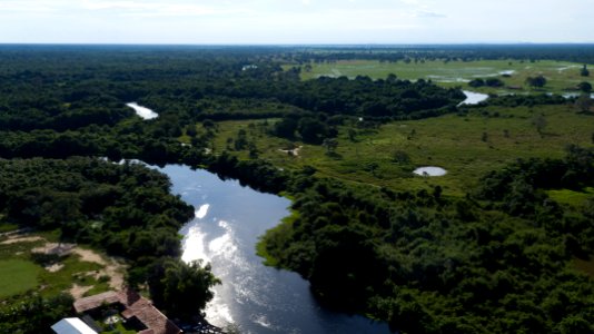 Flavio Andre Pantanal Vista aerea Pocone MT photo