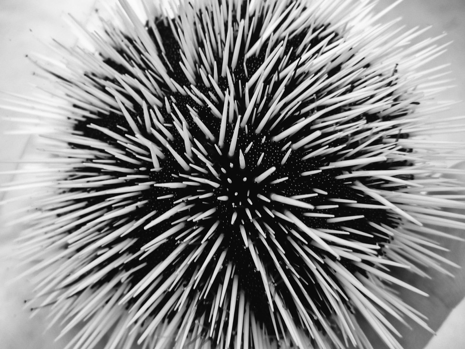 Ocean macro closeup