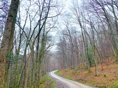 20200501-FS-Monongahela-KMB-044