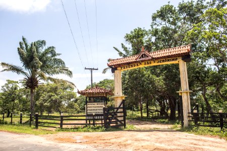 BrunaBrandao FazendaSaoJeronimo Soure PA