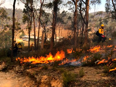 Working on the Fireline