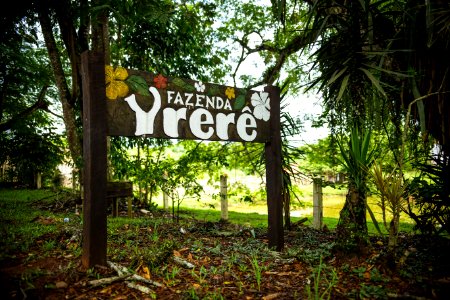 MARCIOFILHO FAZENDASDECACAU ILHEUS BAHIA