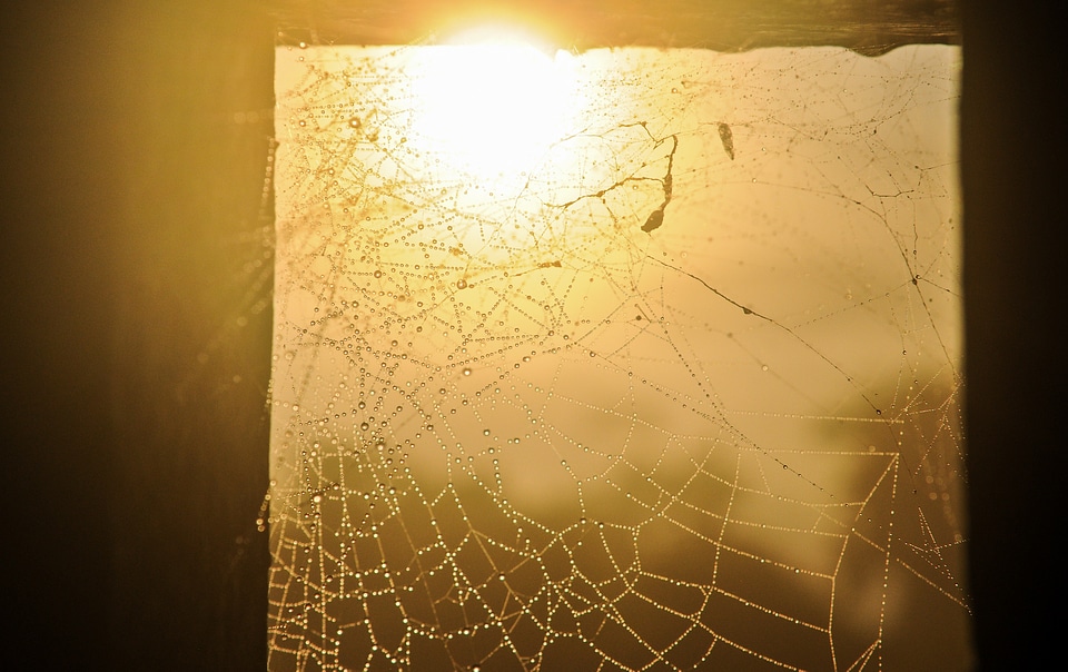 Sunlight back light frame
