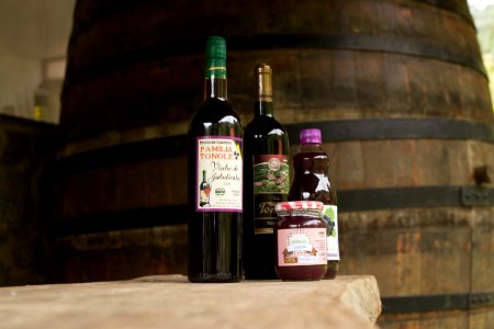VitorJubini VinicolaTonole VendaNova ES