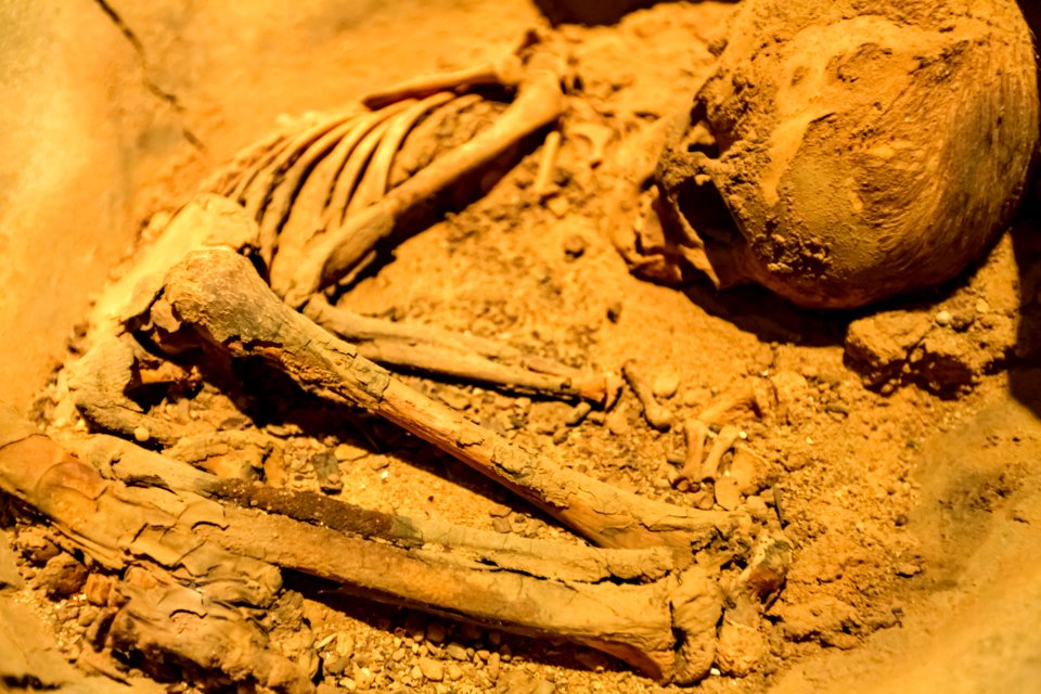 ChicoRasta MuseuDoHomemAmericano SãoRaimundoNonato PI
