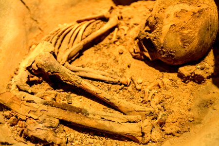 ChicoRasta MuseuDoHomemAmericano SãoRaimundoNonato PI