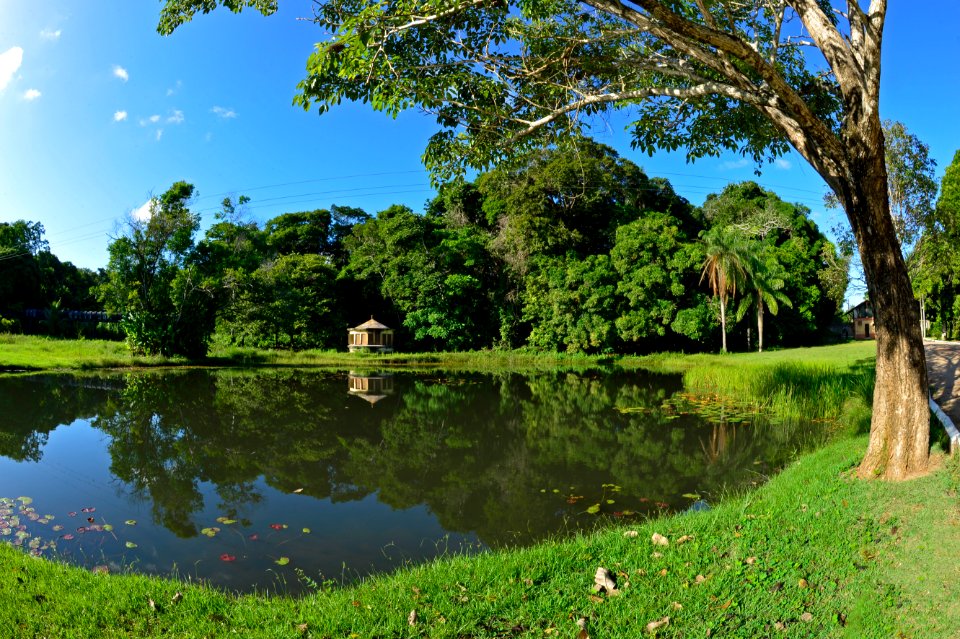 CacioMurilo JardimBotânico JoãoPessoa PB