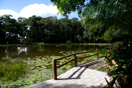 GustavoLouzada ReservaNaturalVale Linhares ES photo