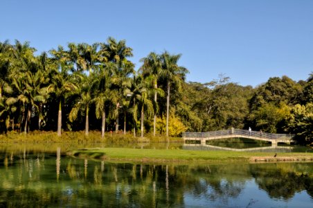 PedroVilela Inhotim Brumadinho MG