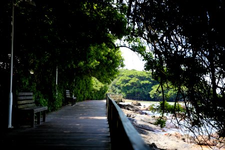 DanielVianna PontalNorte BalnearioCamboriu SC