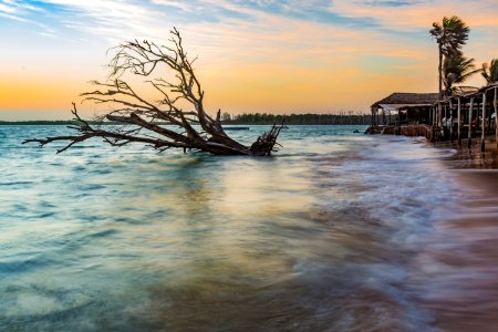 ChicoRasta PraiaDoMacapa LuisCorreia PI