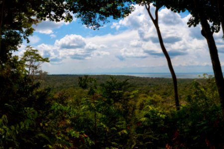 TiagoSilveira MiranteDaFlonaJamaraqua Belterra Santarem Para