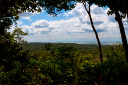 TiagoSilveira MiranteDaFlonaJamaraqua Belterra Santarem Para photo