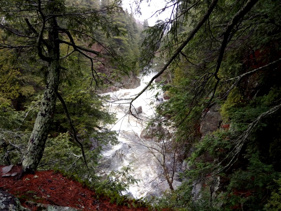 Ausable River - Wilmington Notch - Lake Placid - New York - USA photo