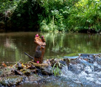Kingfisher Cottage 12 07 2019-2