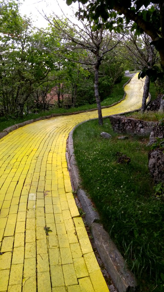 follow the yellow brick road