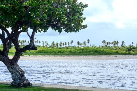 Marco Ankosqui Caminhos para Praia do Toque Sao Miguel Milagres