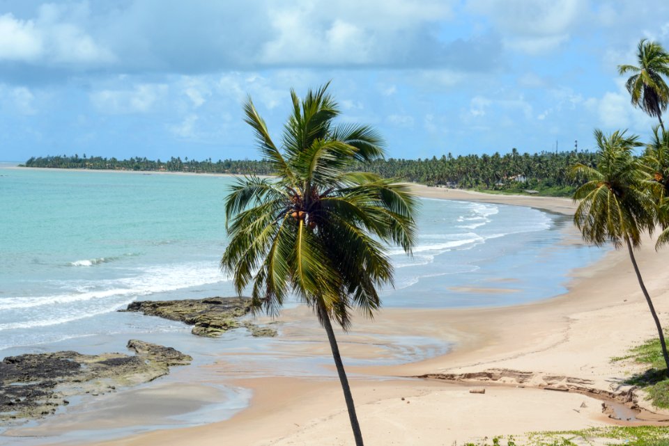 Marco Ankosqui Caminhos para Praia do Toque Sao Miguel Milagres-AL