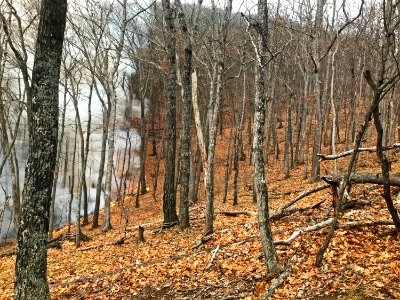 20191128-FS-Monongahela-JRF-106