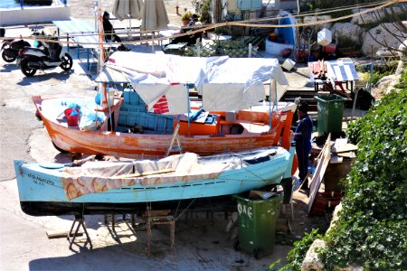 Fish Boats